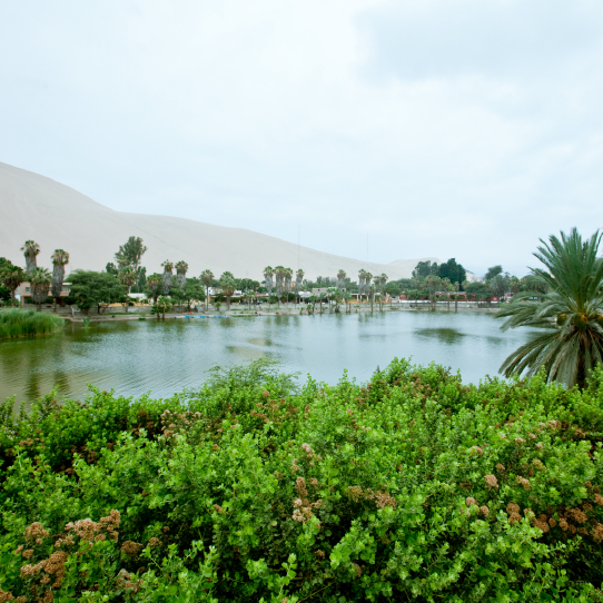 Ica Desert Tour